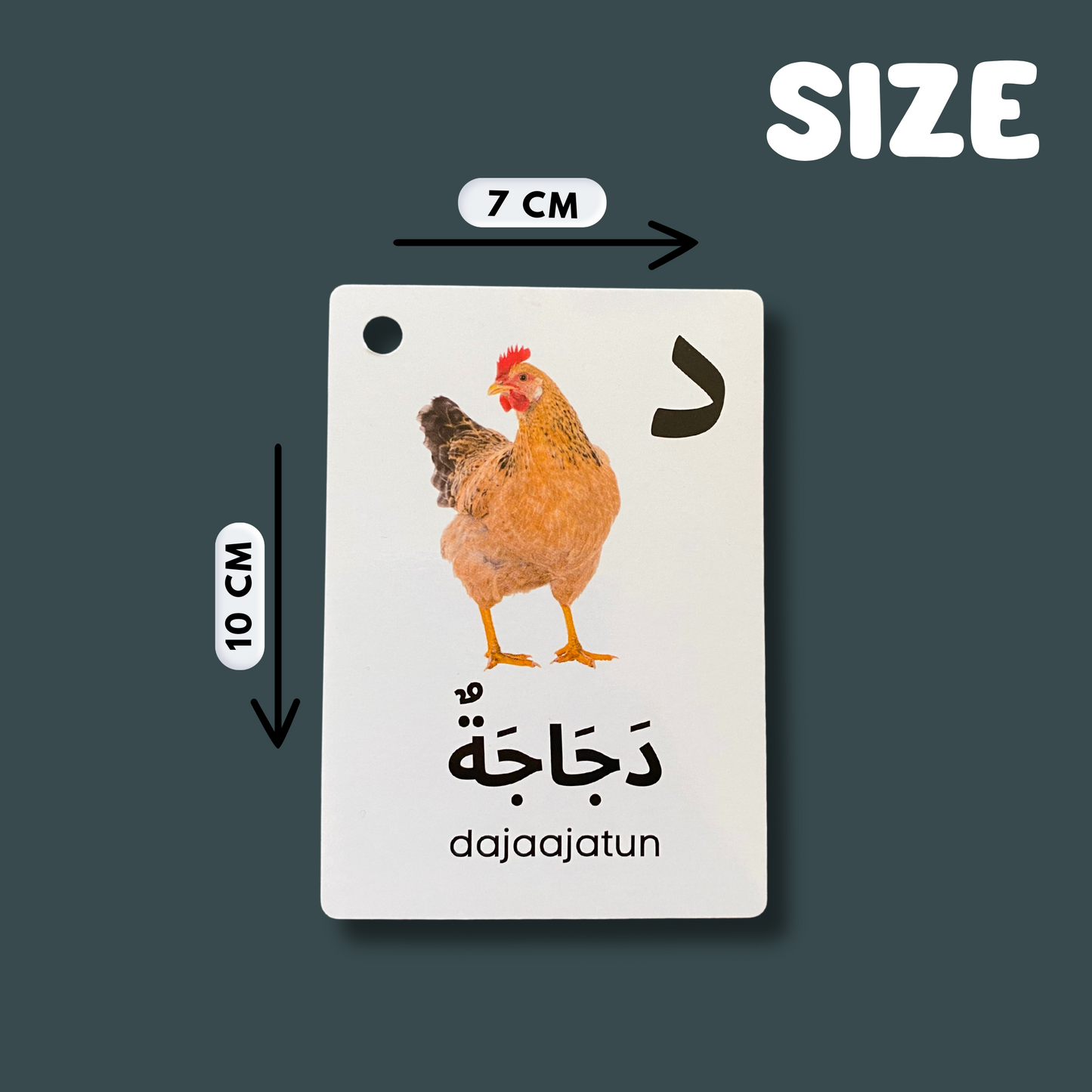 Arabic Alphabet Flash Cards