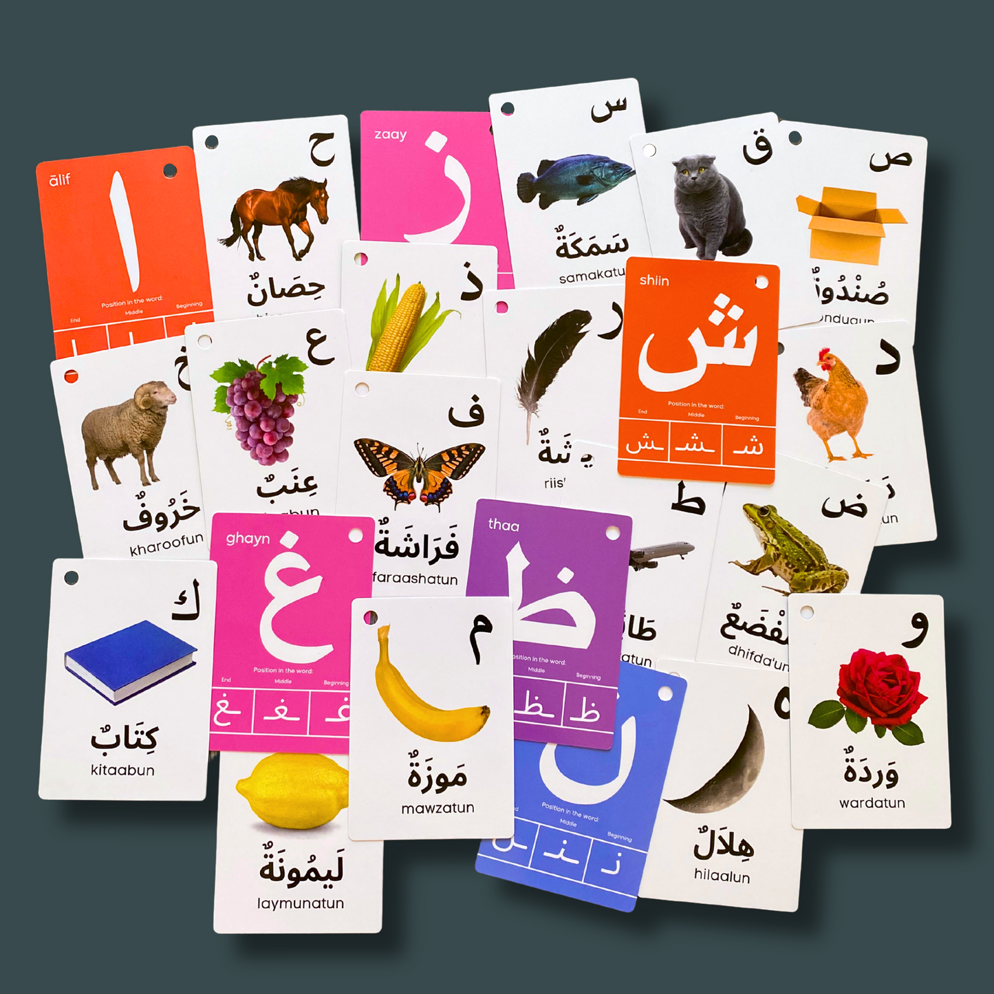 Arabic Alphabet Flash Cards