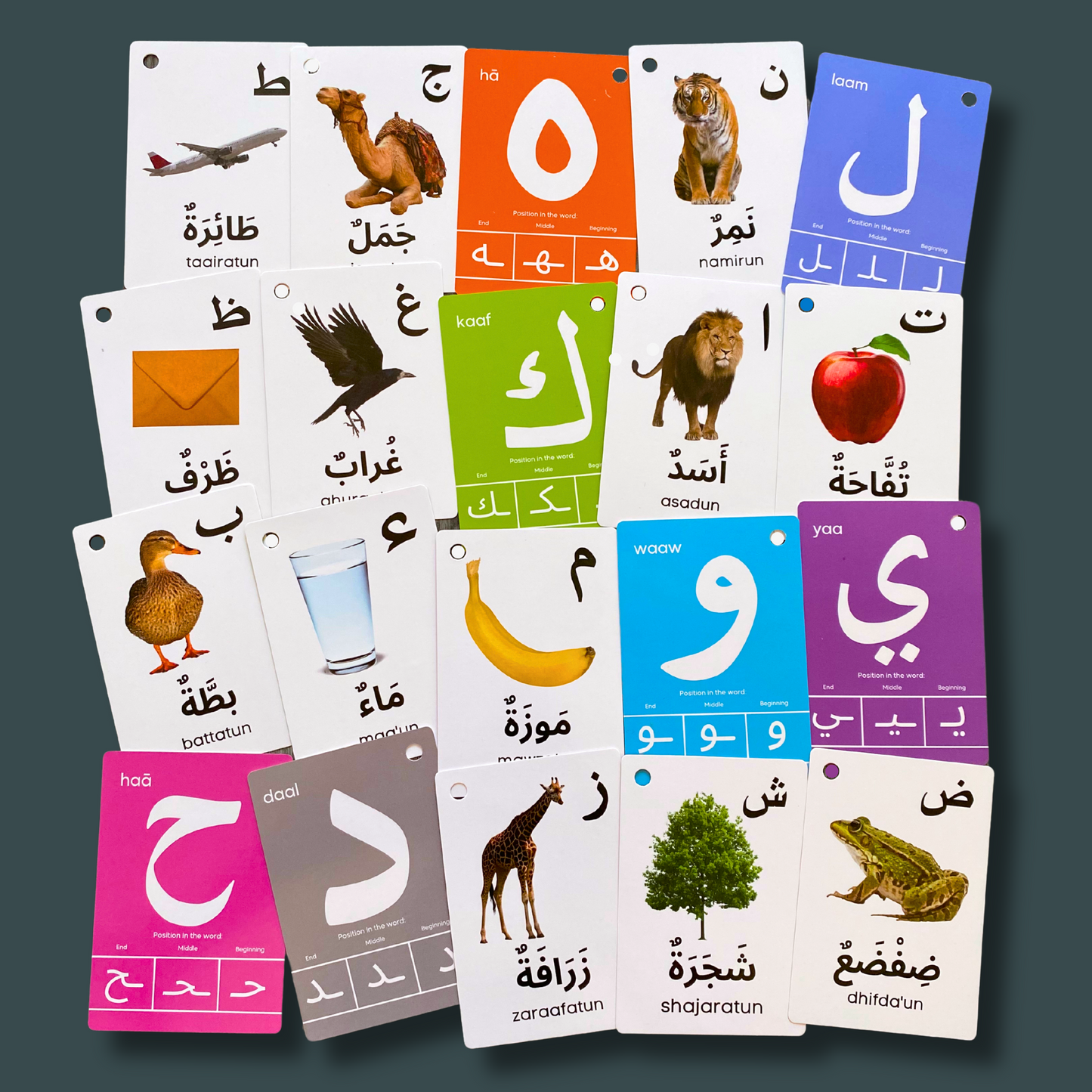 Arabic Alphabet Flash Cards